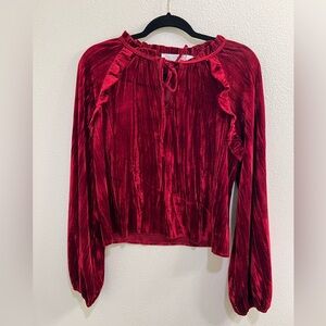 NWT Rachel Parcell Crinkle Velvet Blouse Red